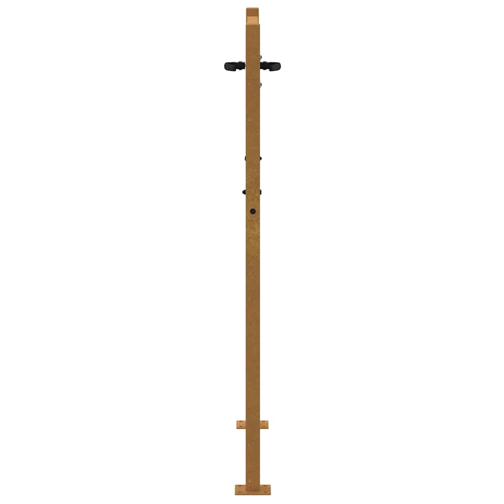 Garden Gate 100x125 cm Corten Steel