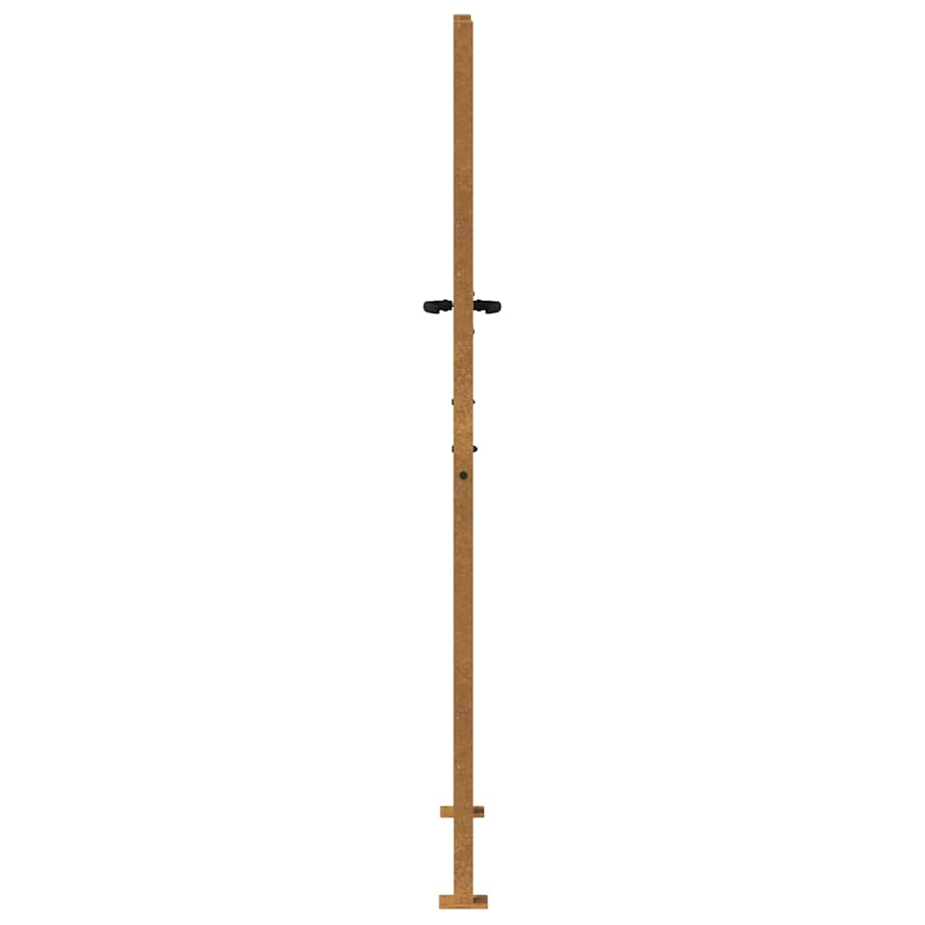 Garden Gate 100x175 cm Corten Steel Grass Design