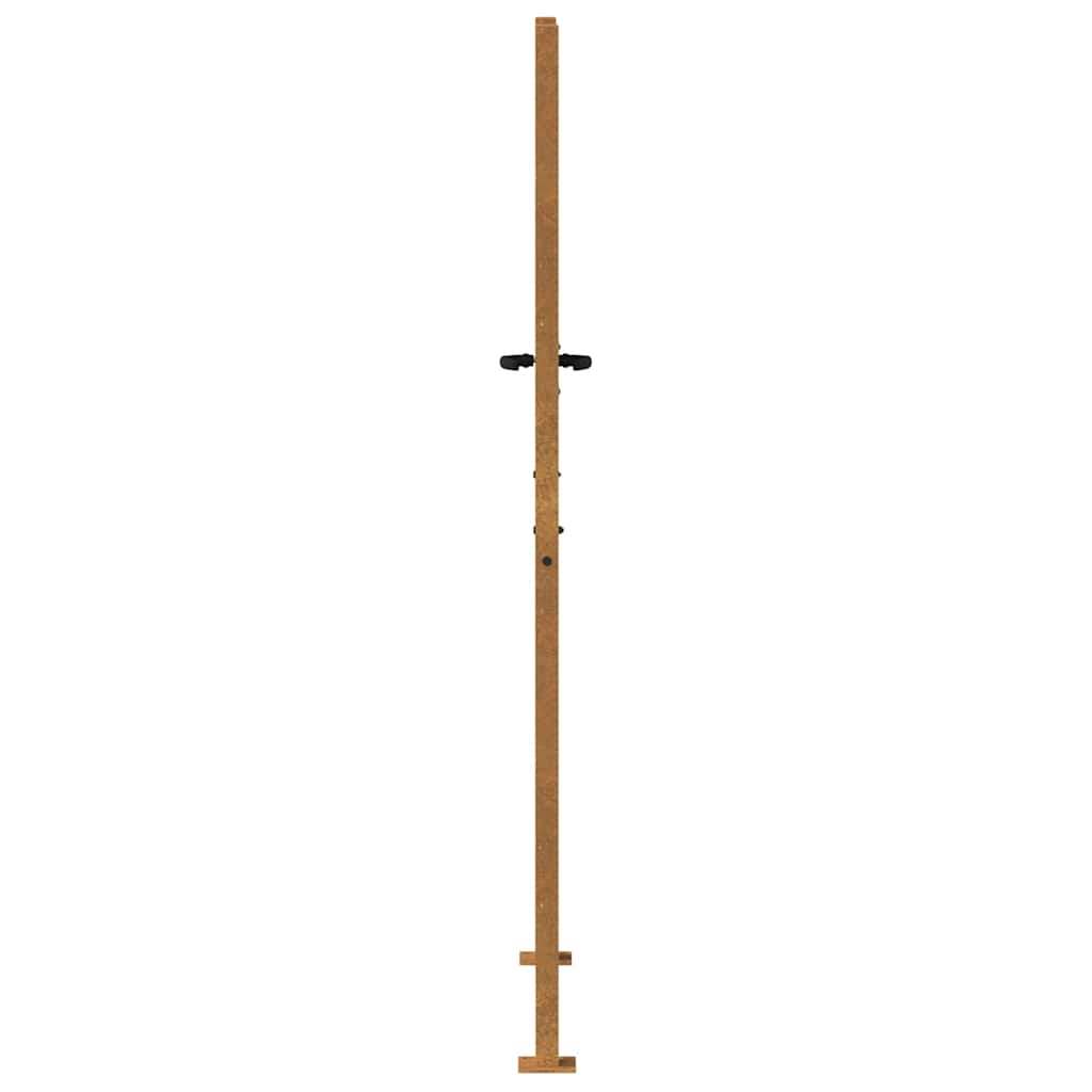 Garden Gate 100x200 cm Corten Steel