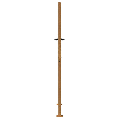 Garden Gate 100x200 cm Corten Steel