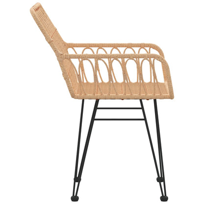 Garden Chair | Set of 2 | Brown | Steel, Polyethylene Rattan | Medium