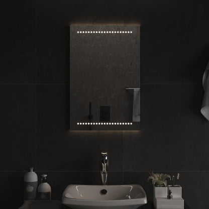 LED Bathroom Mirror 40x60 cm