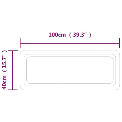 LED Bathroom Mirror 40x100 cm