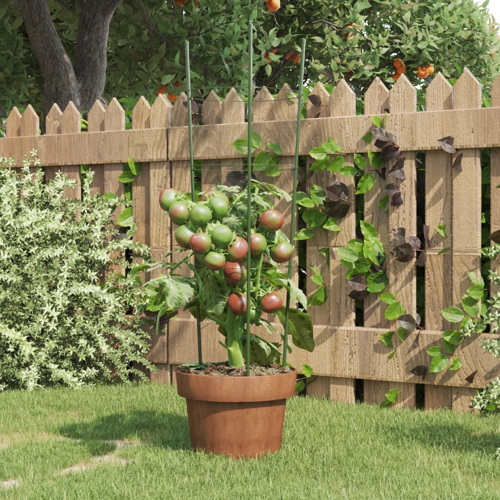 Garden Plant Supports with 3 Rings 5 pcs Green 60 cm Steel