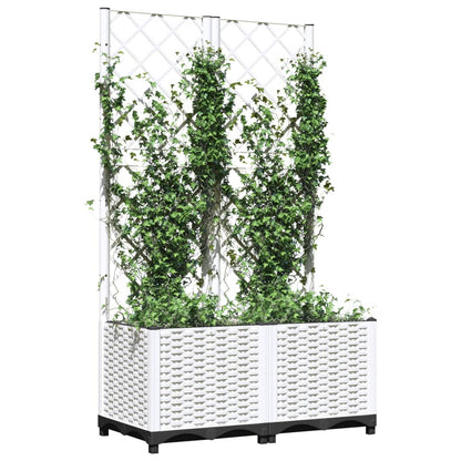 Garden Planter | White | Polypropylene | Medium | Planters