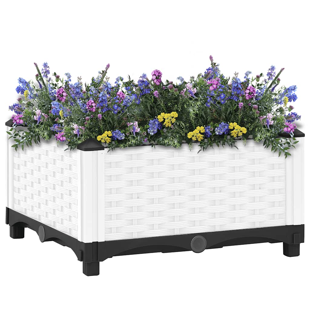 Raised Bed 40x40x23 cm Polypropylene