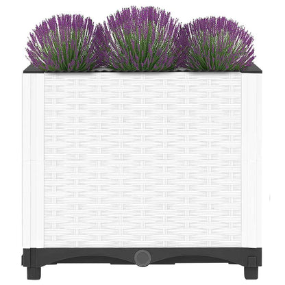 Raised Bed 40x40x38 cm Polypropylene