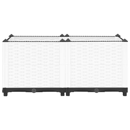 Raised Bed 80x40x38 cm Polypropylene