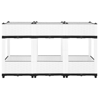 Raised Bed 120x40x71 cm Polypropylene