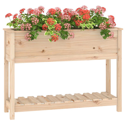 Planter with Shelf 111,5x34,5x81 cm Solid Wood Pine