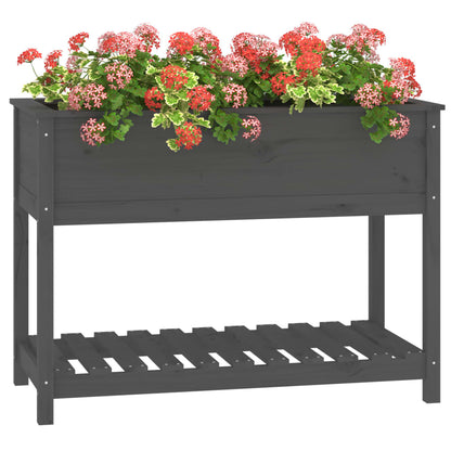 Planter with Shelf Grey 111,5x54x81 cm Solid Wood Pine