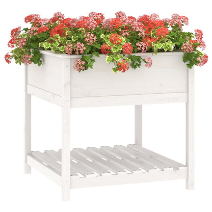 Planter with Shelf White 82,5x82,5x81 cm Solid Wood Pine