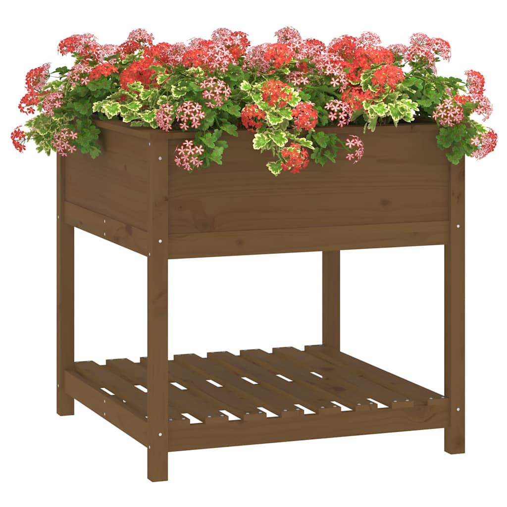 Planter with Shelf Honey Brown 82,5x82,5x81 cm Solid Wood Pine