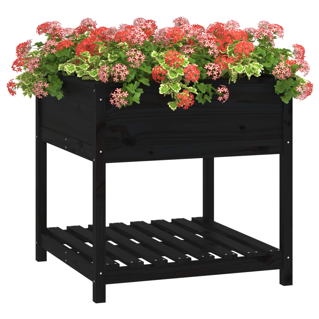 Planter with Shelf Black 82,5x82,5x81 cm Solid Wood Pine