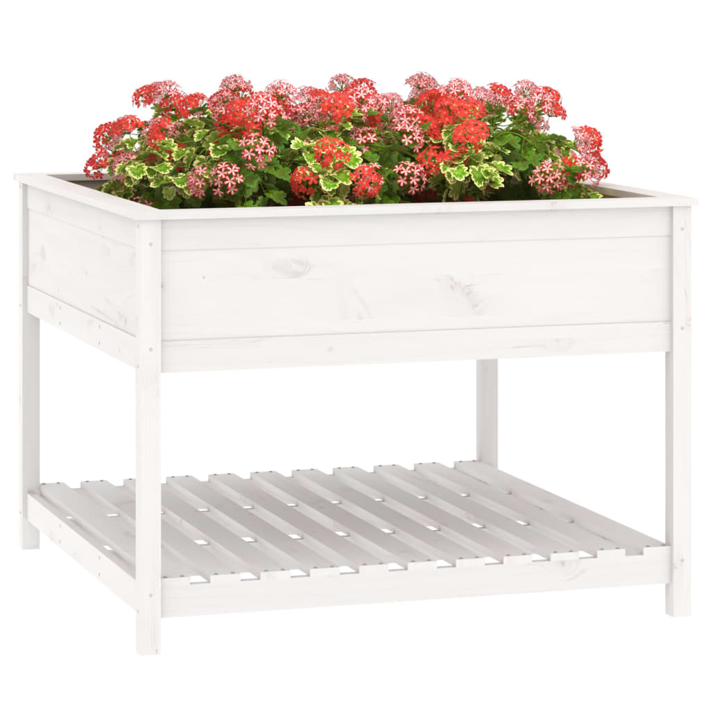 Planter with Shelf White 111,5x111,5x81 cm Solid Wood Pine