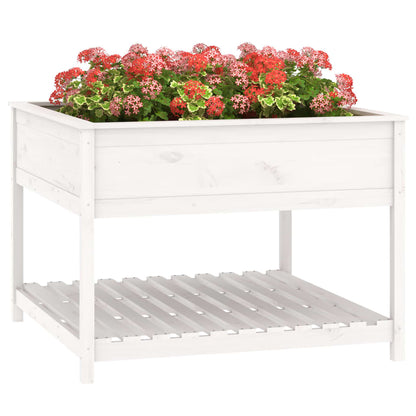 Planter with Shelf White 111,5x111,5x81 cm Solid Wood Pine