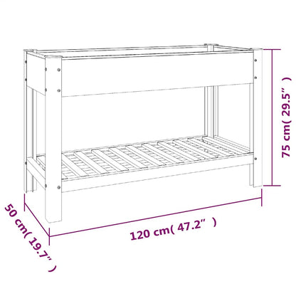Garden Raised Bed with Shelf Grey 120x50x75 cm WPC