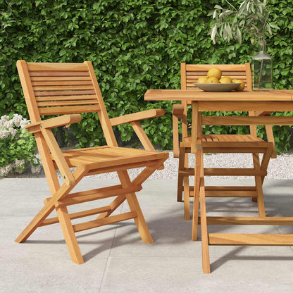 Folding Garden Chair | Set of 2 | Natural Teak | Solid teak wood