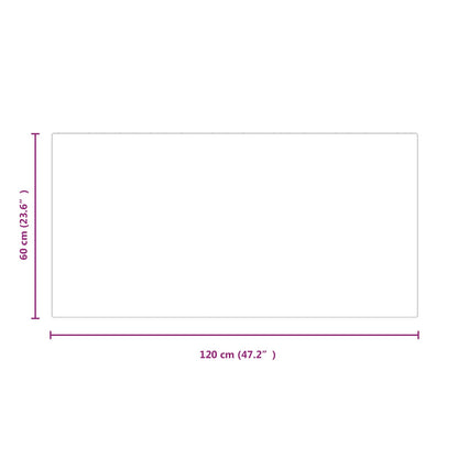 Fireplace Glass Plate Transparent 120 x 60 cm Glass