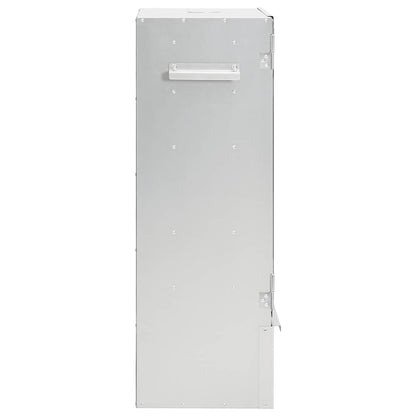 BBQ Oven Smoker with Wood Chips 44,5x29x83 cm Galvanised Steel