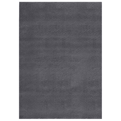 Washable Rug Soft Shaggy Anthracite 160x230 cm Anti Slip