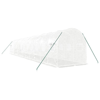 Greenhouse with Steel Frame White 24 m² 12x2x2 m