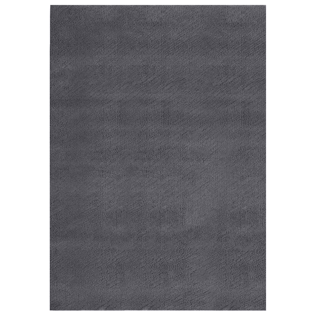 Shaggy Rug Anthracite 200x275 cm Polyester