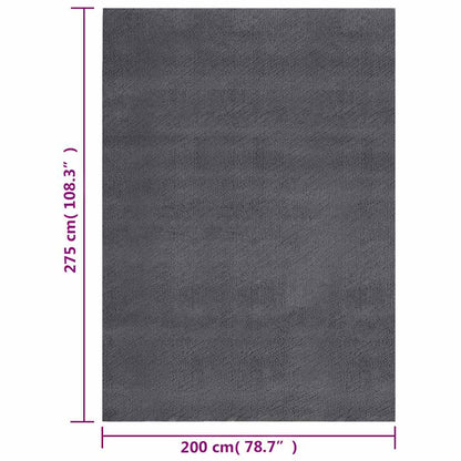 Shaggy Rug Anthracite 200x275 cm Polyester