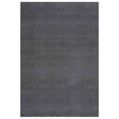 Shaggy Rug Anthracite 240x340 cm Polyester