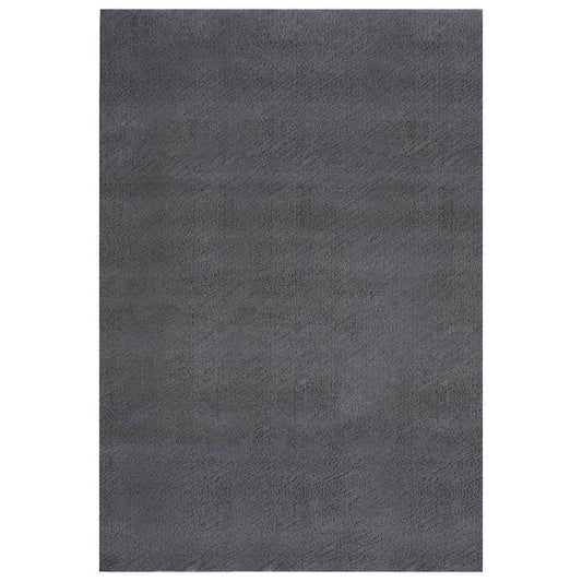 Shaggy Rug Anthracite 240x340 cm Polyester