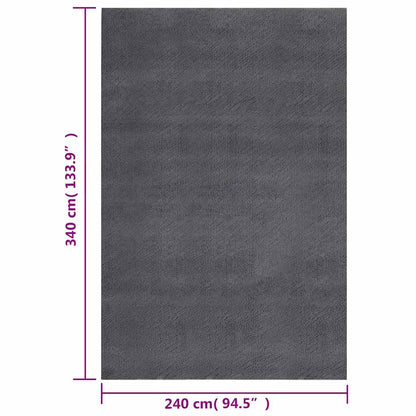 Shaggy Rug Anthracite 240x340 cm Polyester