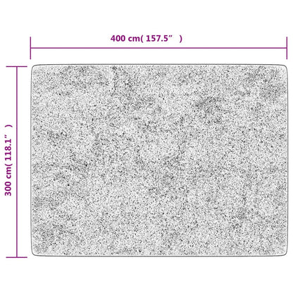 Rug Washable Black and Gold 400x300 cm