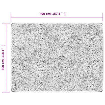 Rug Washable Anthracite 400x300 cm