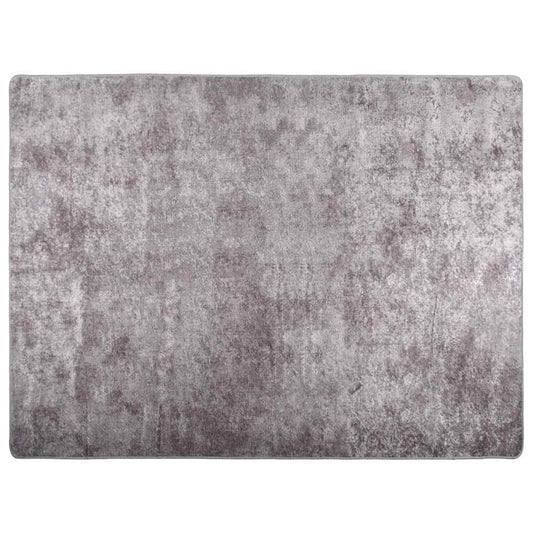 Rug Washable Grey 400x300 cm