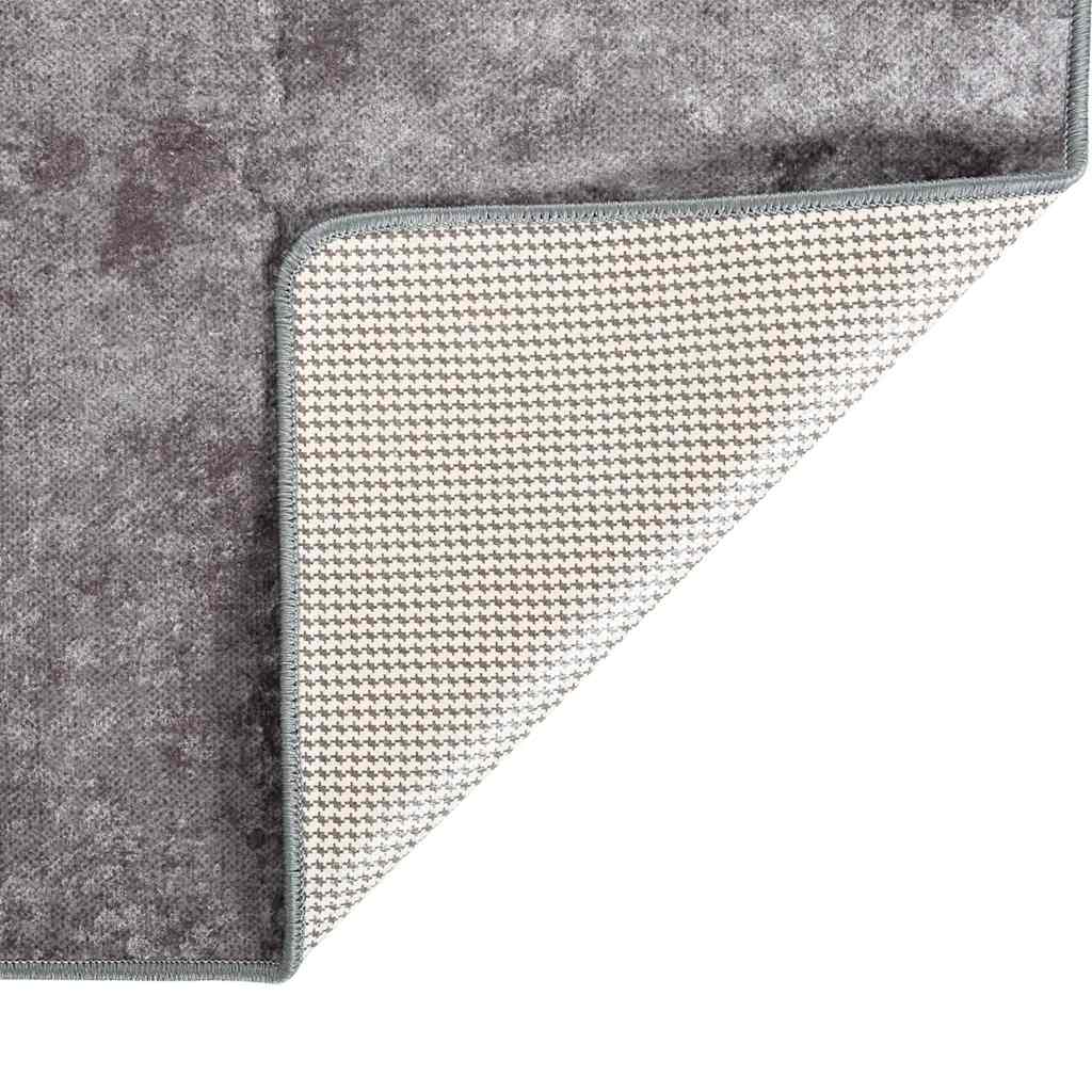 Rug Washable Grey 400x300 cm