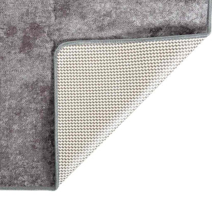 Rug Washable Grey 400x300 cm