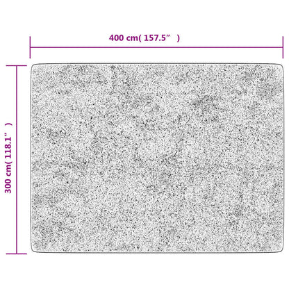 Rug Washable Grey 400x300 cm