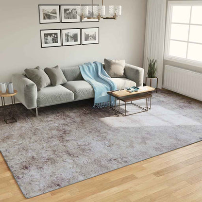 Rug Washable Grey 400x300 cm