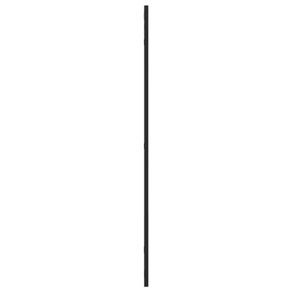 Wall Mirror Black 60x100 cm Rectangle Iron