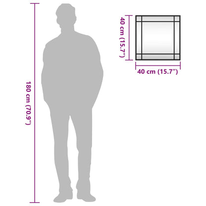 Wall Mirror Black 40x40 cm Square Iron