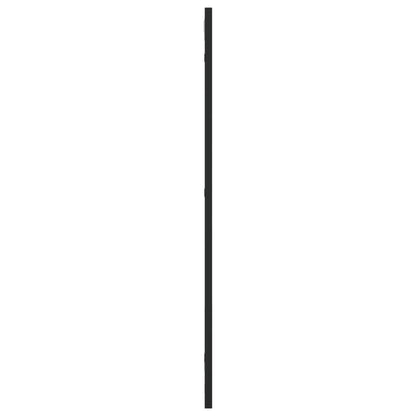 Wall Mirror Black 30x80 cm Rectangle Iron