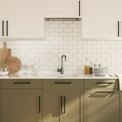 Cabinet Handles 20 pcs Black 224 mm Stainless Steel