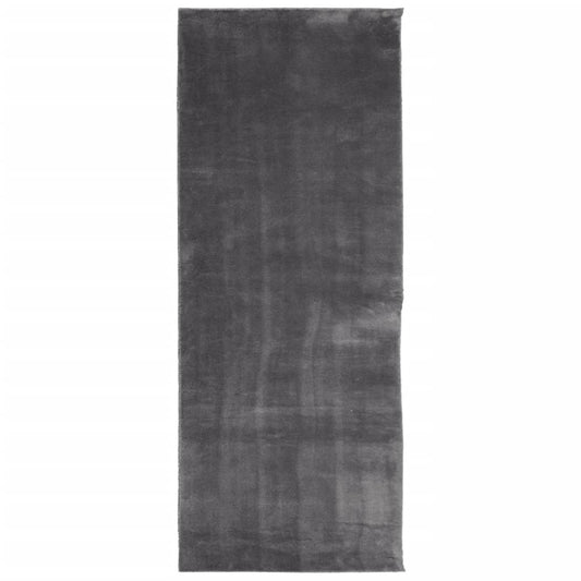 Rug HUARTE Short Pile Soft and Washable Anthracite 80x200 cm