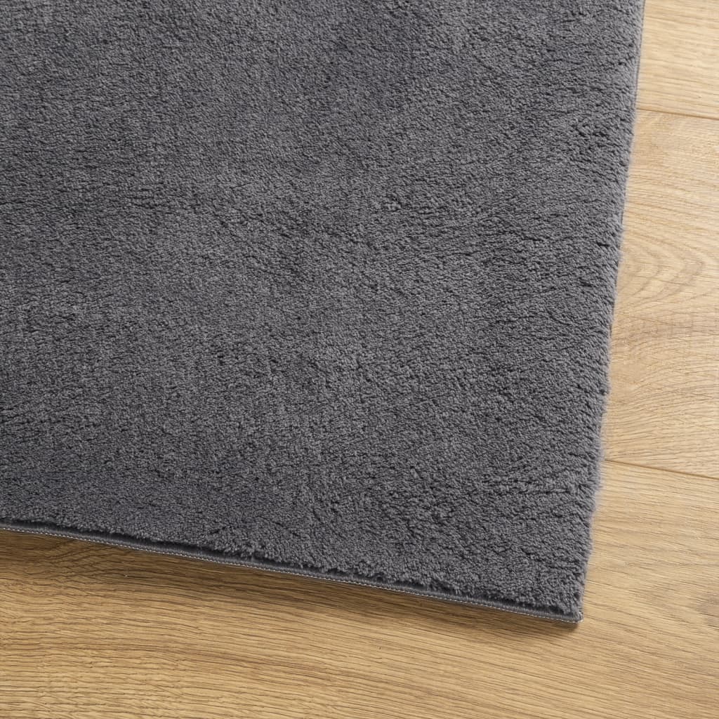 Rug HUARTE Short Pile Soft and Washable Anthracite 100x200 cm