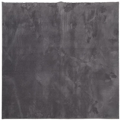 Rug HUARTE Short Pile Soft and Washable Anthracite 160x160 cm