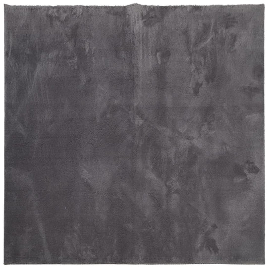 Rug HUARTE Short Pile Soft and Washable Anthracite 160x160 cm