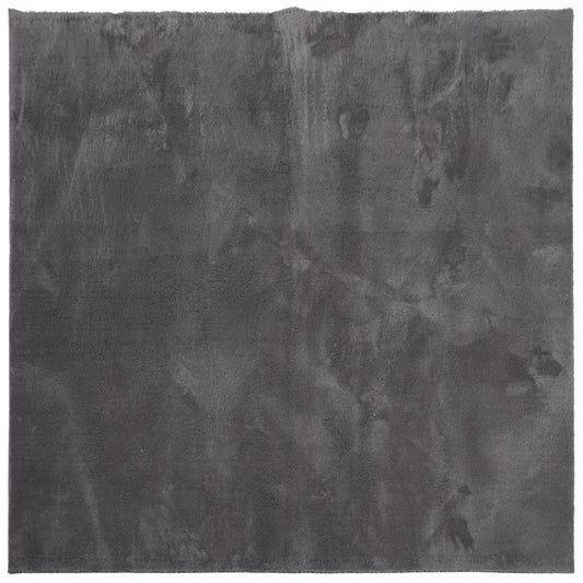 Rug HUARTE Short Pile Soft and Washable Anthracite 200x200 cm