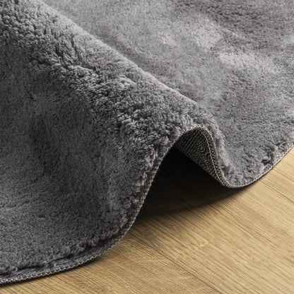 Rug HUARTE Short Pile Soft and Washable Anthracite Ø 120 cm