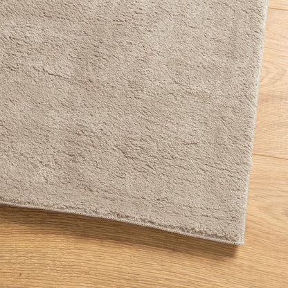 Rug HUARTE Short Pile Soft and Washable Sand 100x200 cm