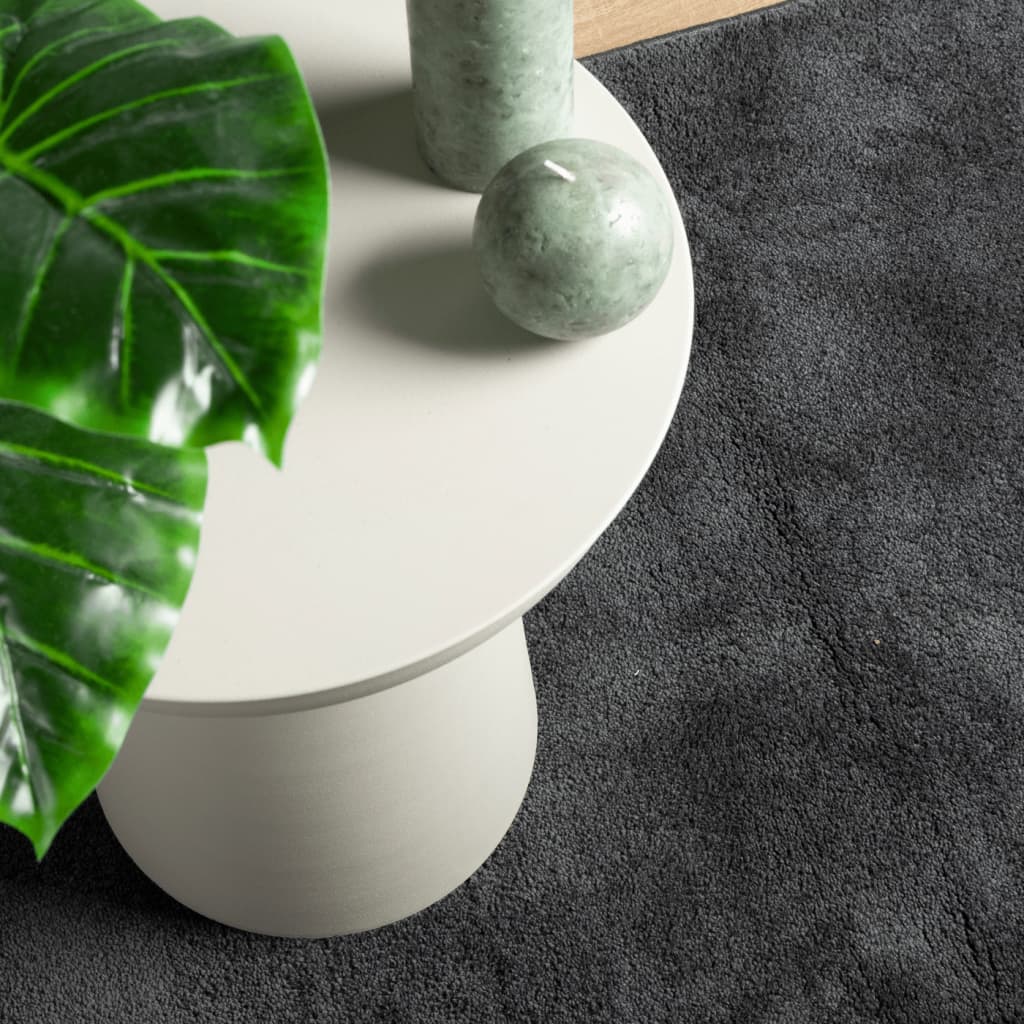 Rug OVIEDO Short Pile Anthracite 200x200 cm